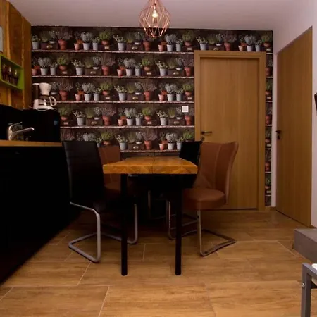 Apartment Zen House - Szeged Belvarosaban