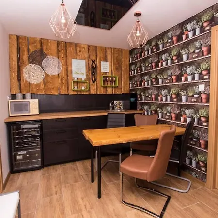 Zen House - Szeged Belvarosaban Apartment *